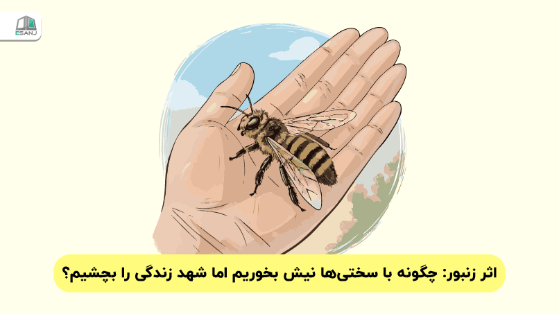 اثر زنبور: چگونه با سختی‌ها نیش بخوریم اما شهد زندگی را بچشیم؟