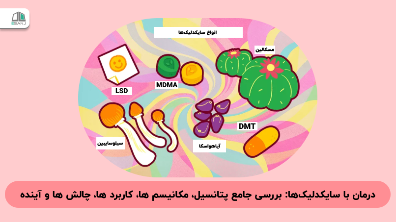 درمان با سایکدلیک‌ها: بررسی جامع پتانسیل، مکانیسم‌ها، کاربردها، چالش‌ها و آینده